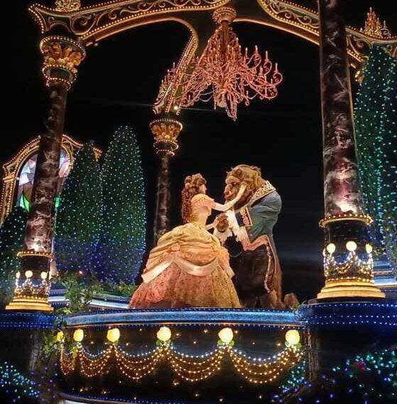 My First Tokyo Disneyland Visit: 19 Rides, Electric Parade & Top Tips for Adults