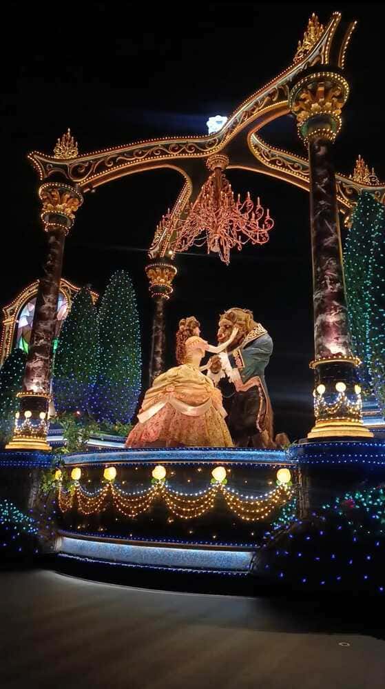 My First Tokyo Disneyland Visit: 19 Rides, Electric Parade & Top Tips for Adults