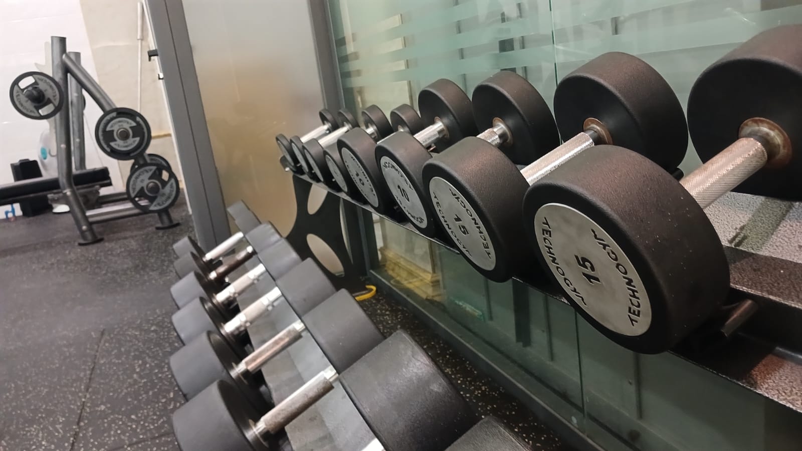 3-Day Push Pull Legs Workout for Women (Beginner-Friendly)