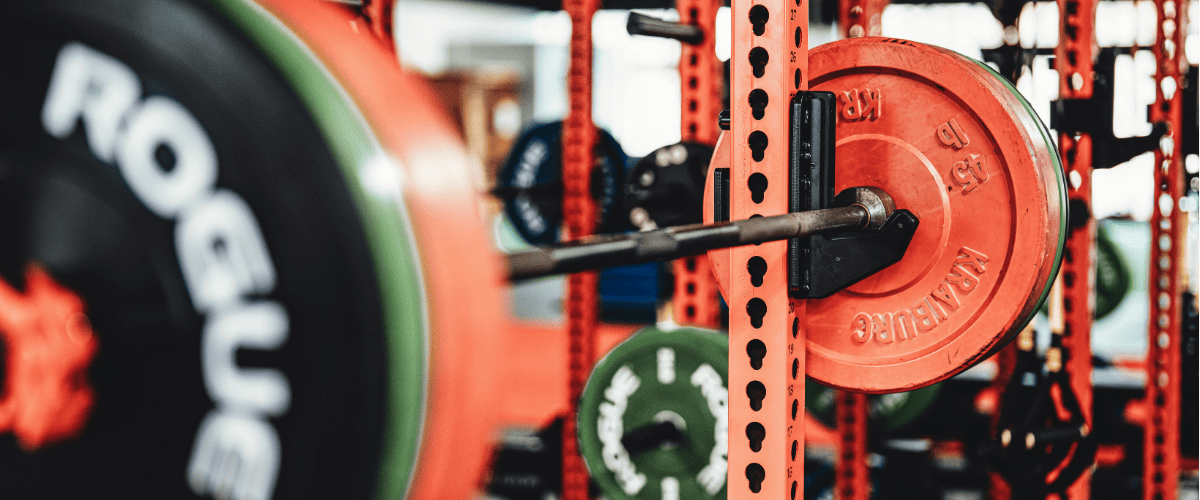 Realistic 5-Day Gym Plan for Midsize Women | Beginner Strength Training Routine