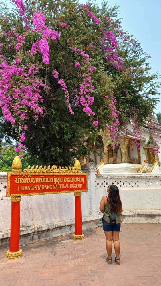 Luang Prabang museum