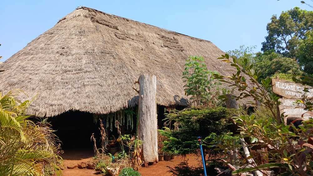  coffee farm in Pakse