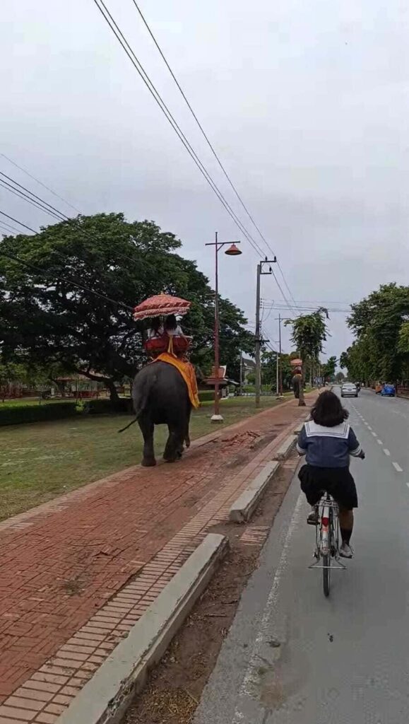 Cycling around Ayutthaya