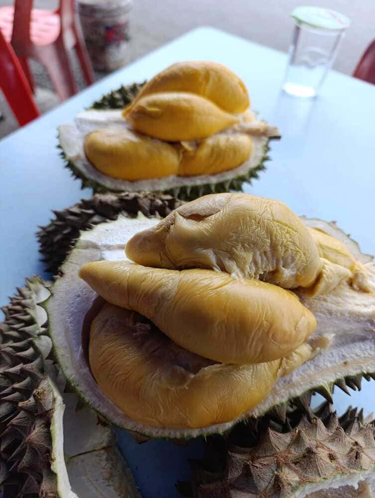 Durian in Malaysia