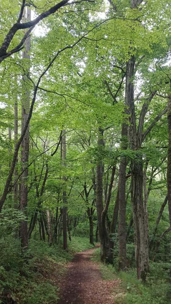 Hiking in Matsumoto