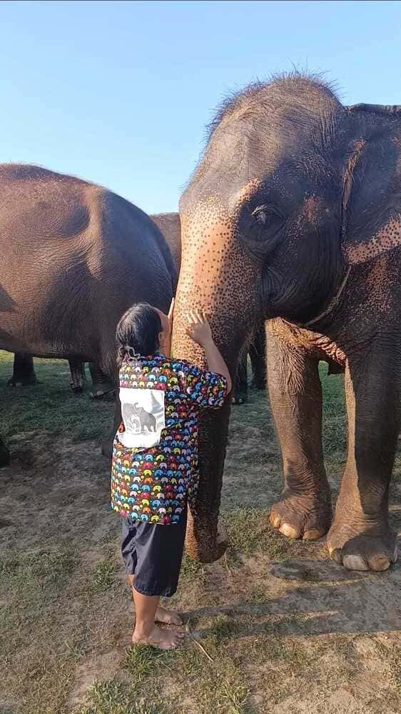 Elephant sanctuary