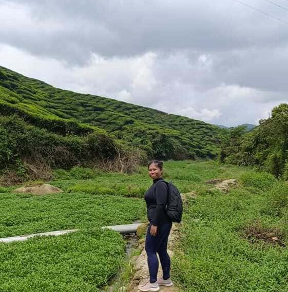 Exploring Cameron Highlands: A Backpacker’s Guide