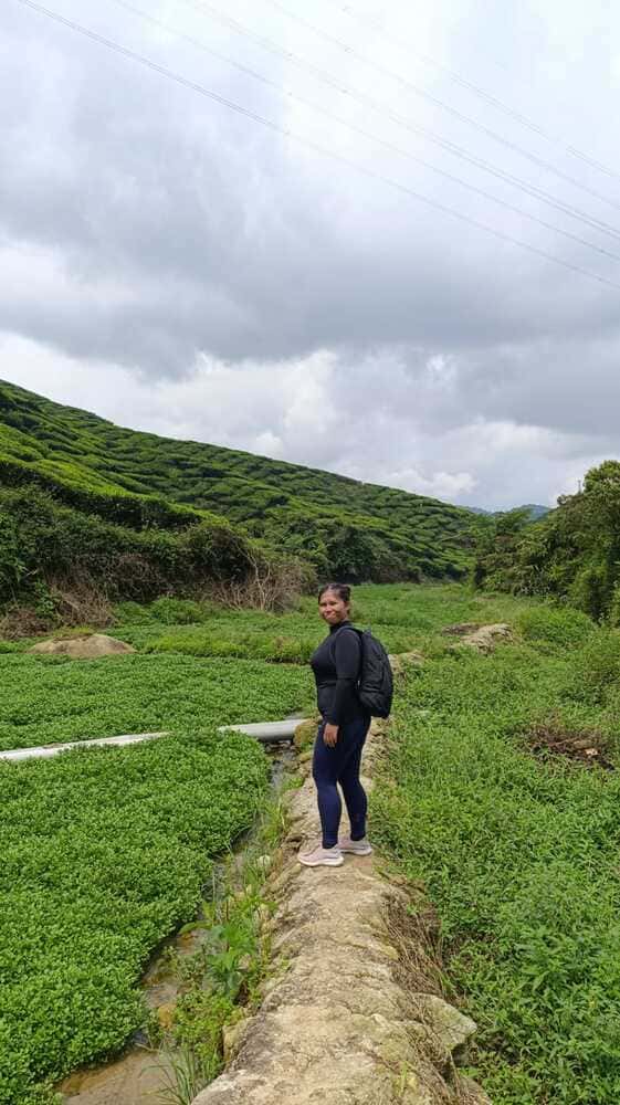 Exploring Cameron Highlands: A Backpacker’s Guide