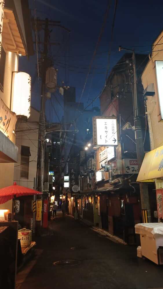 Pontocho Alley
