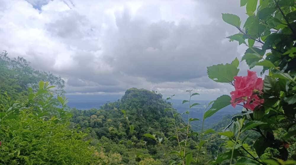 alam di jogja