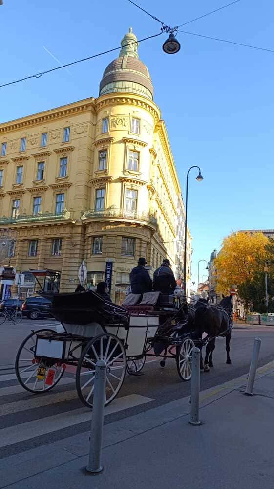 Vienna