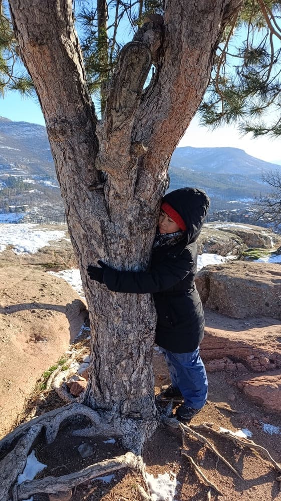 A woman hugging a tree