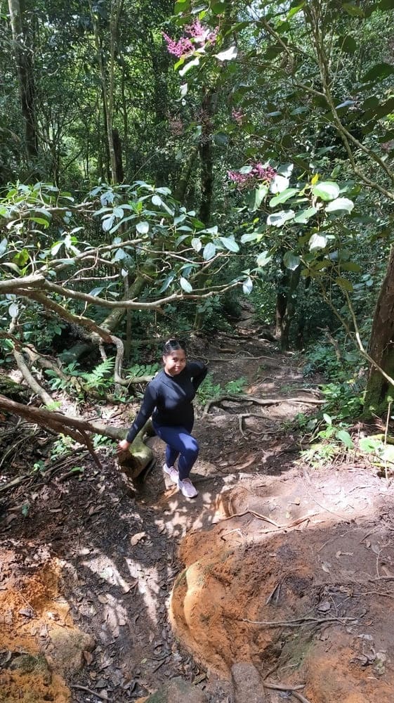 Hiking to Gunung jafar
