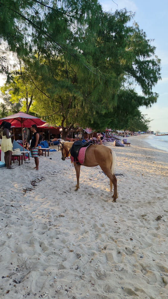 Beach in Gili T