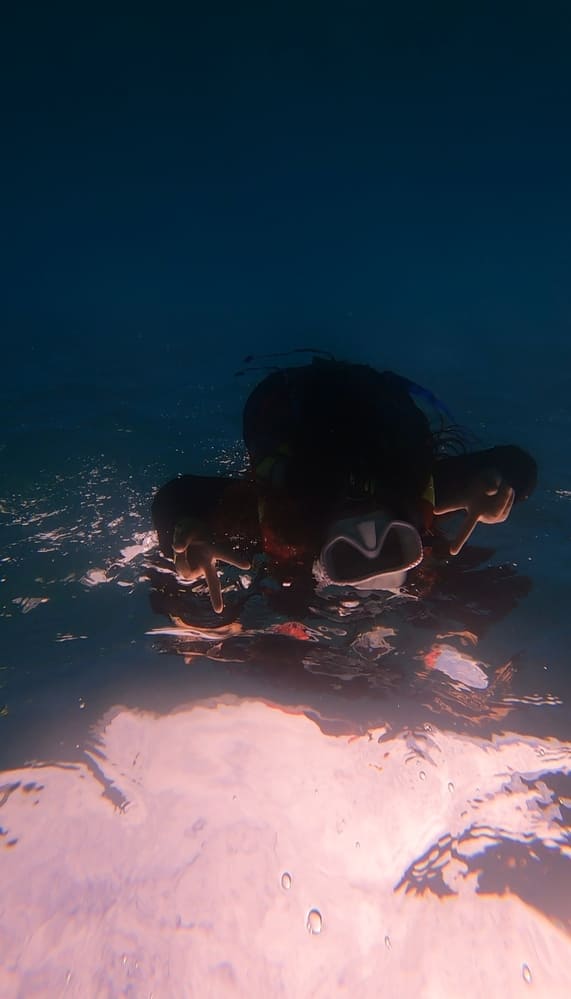 Snorkeling in Gili T