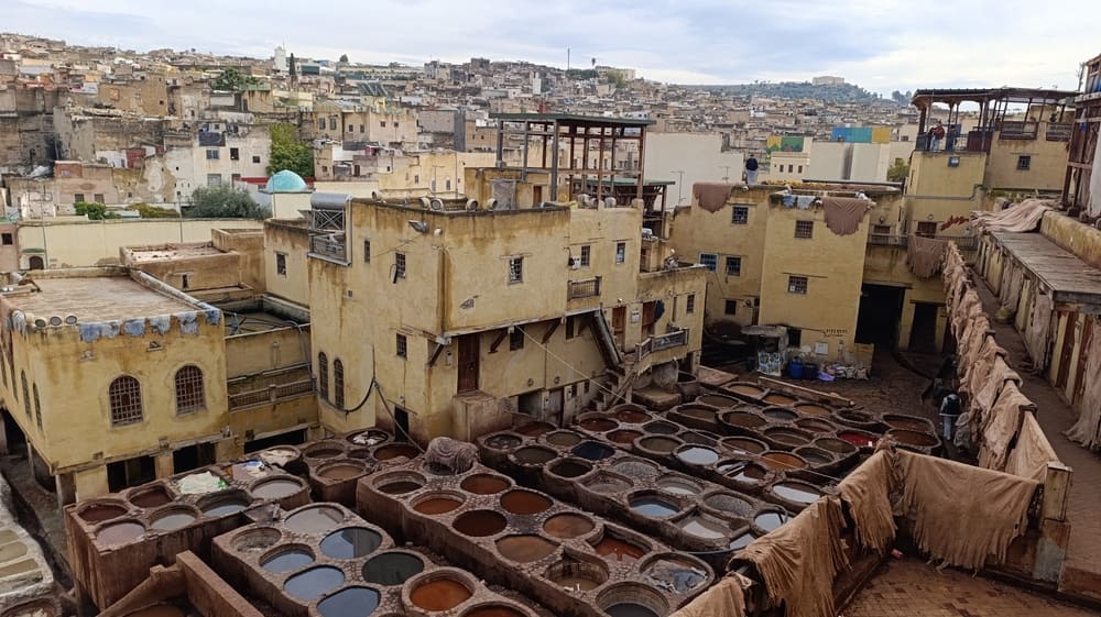 Leather factory inside the Fes Medina, seen from above