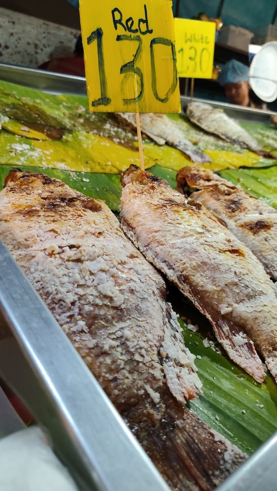 Fish